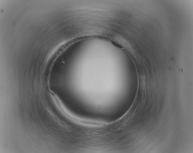 X0000076420676200610202220