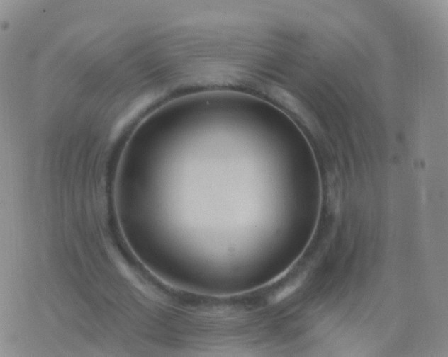 X0000076420677200610202220