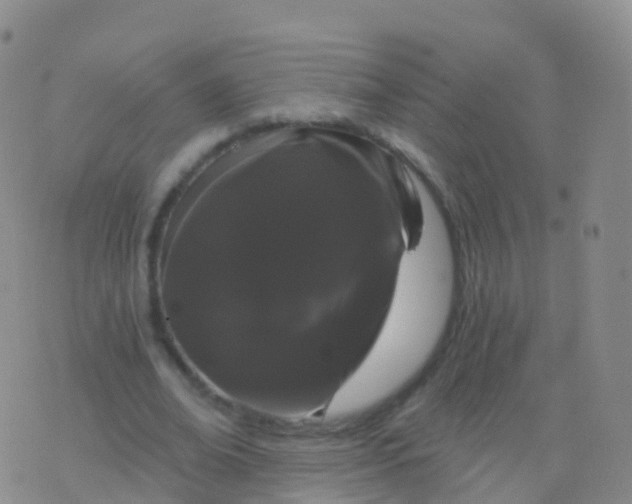 X0000076420678200610202220