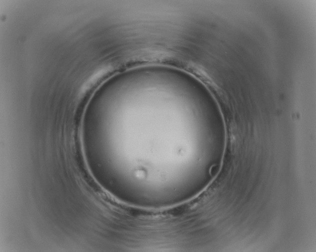 X0000076420679200610202220