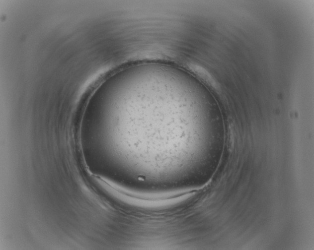 X0000076420680200610202220