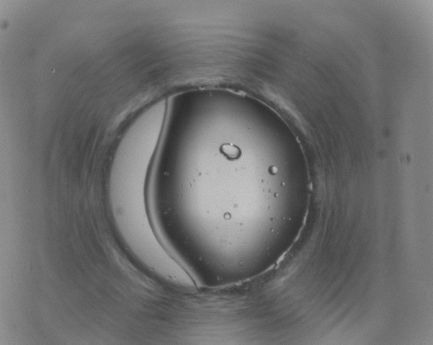 X0000076420681200610202220