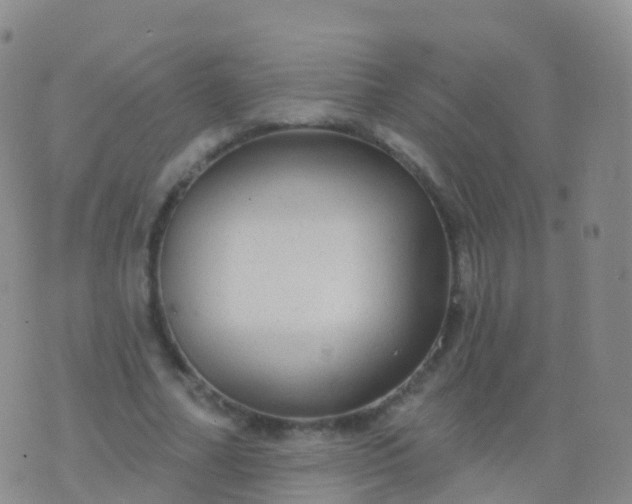 X0000076420682200610202220