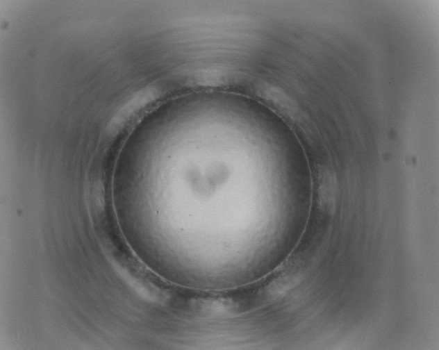 X0000076420683200610202220