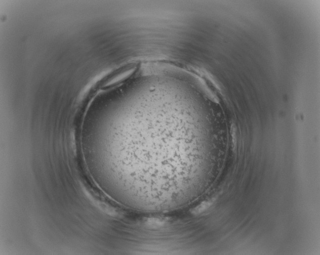 X0000076420684200610202220