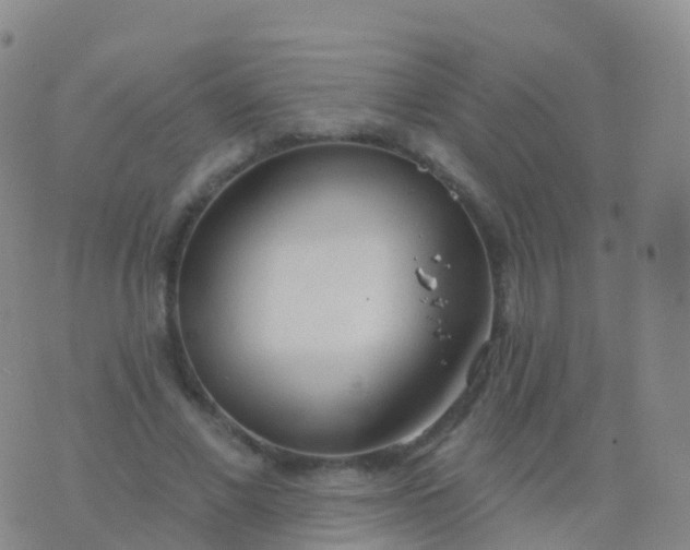 X0000076420685200610202220