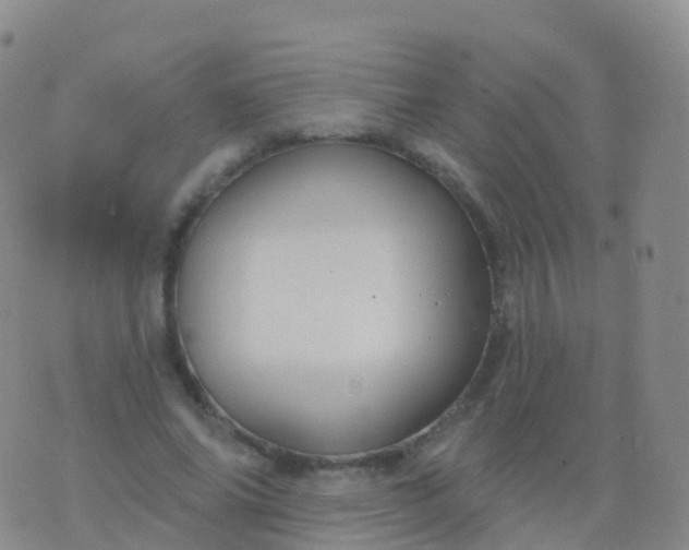 X0000076420686200610202220