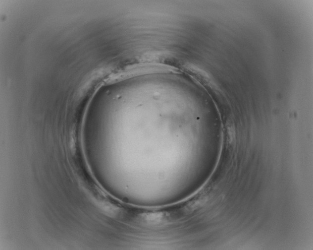 X0000076420687200610202220