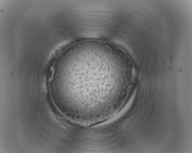 X0000076420688200610202220