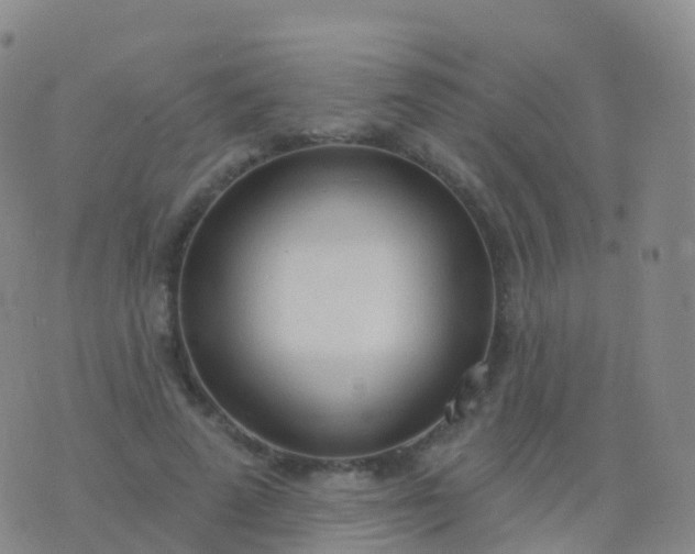 X0000076420689200610202220