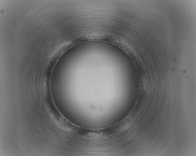 X0000076420690200610202220