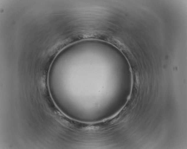 X0000076420691200610202220