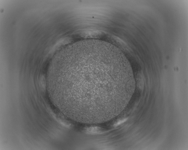 X0000076420695200610202220