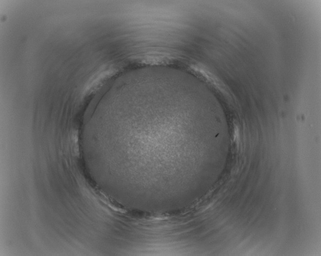 X0000076420696200610202220