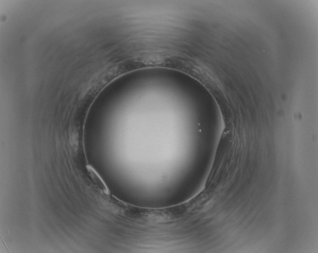 X0000076420697200610202220