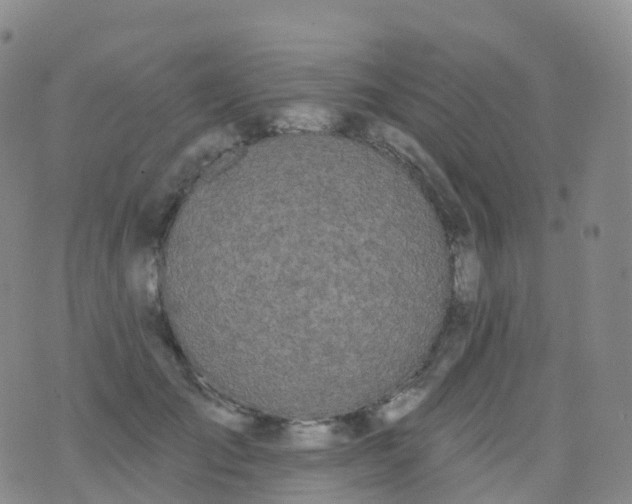 X0000076420701200610202220