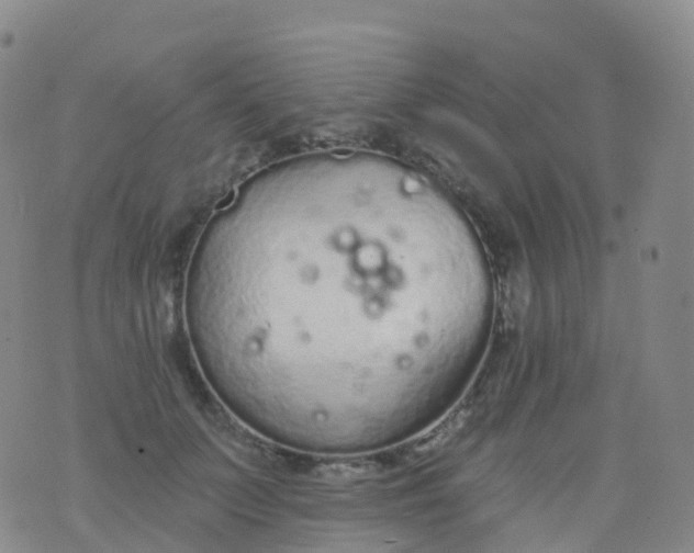 X0000076420703200610202220