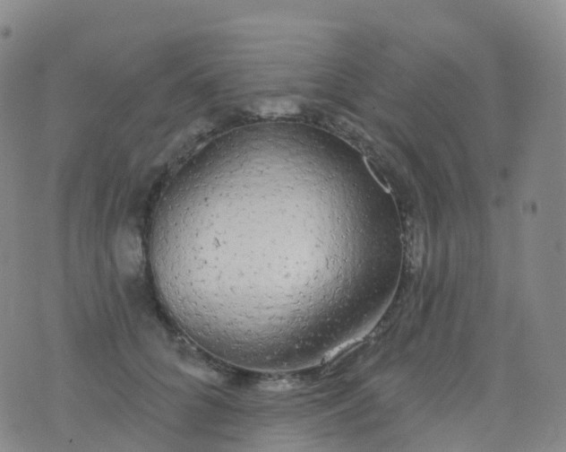 X0000076420704200610202220