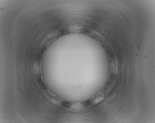 X0000076420705200610202220