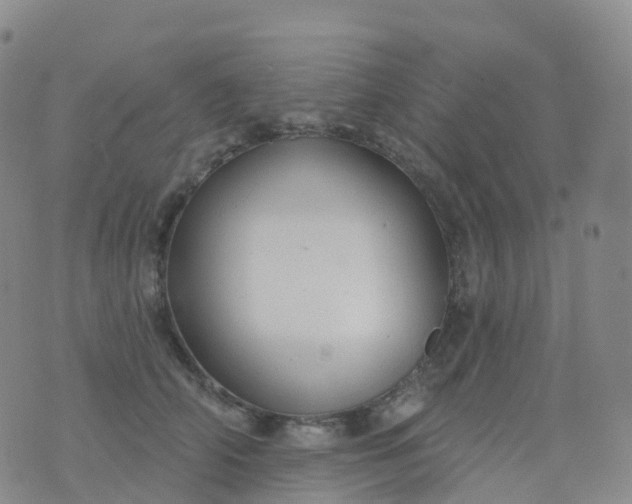 X0000076420706200610202220