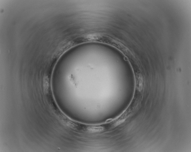 X0000076420707200610202220