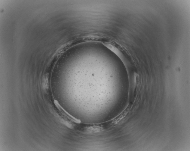 X0000076420708200610202220