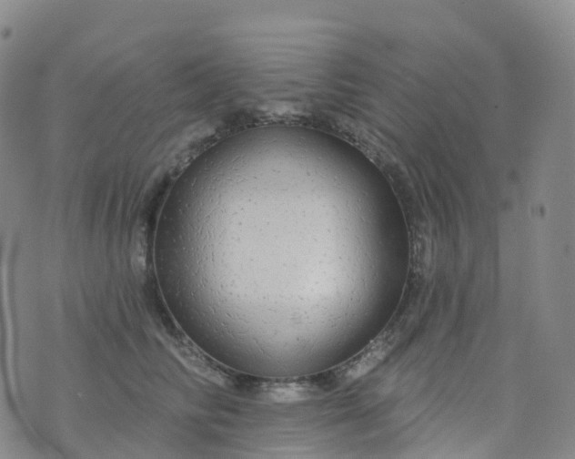 X0000076420710200610202220