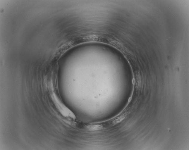 X0000076420711200610202220