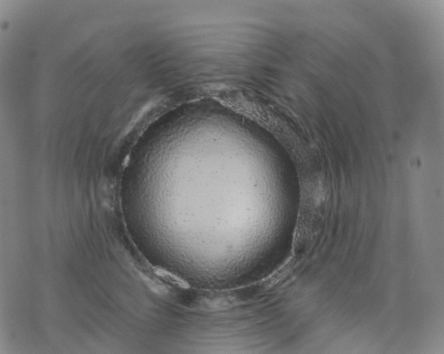 X0000076420712200610202220