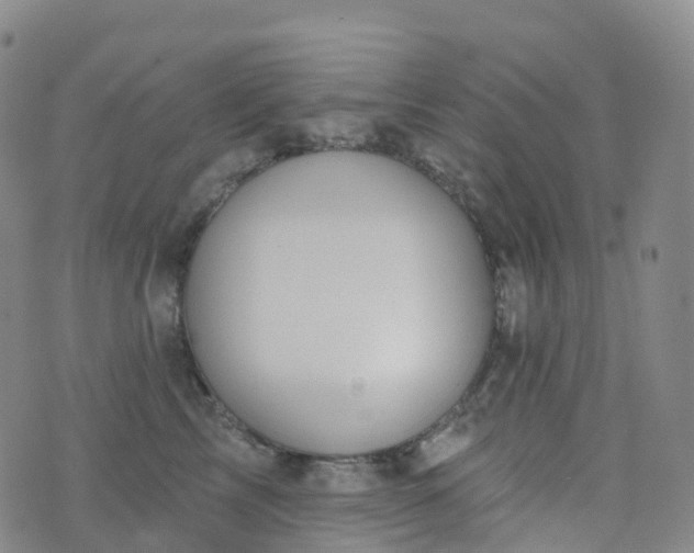 X0000076420713200610202220