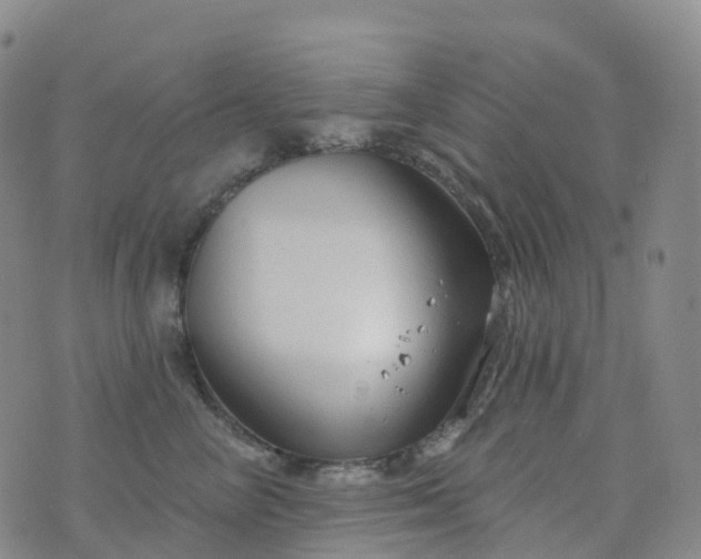 X0000076420714200610202220