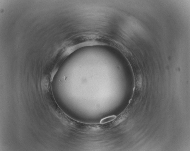 X0000076420715200610202220