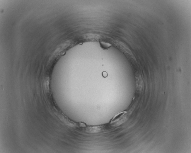 X0000076420717200610202220