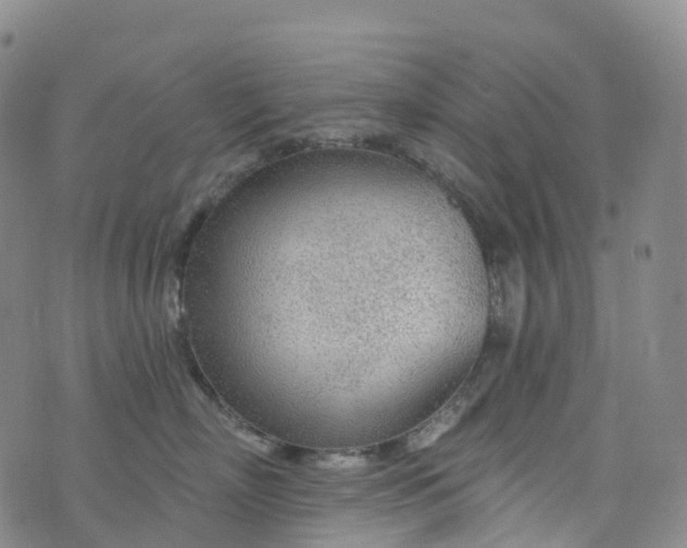 X0000076420718200610202220