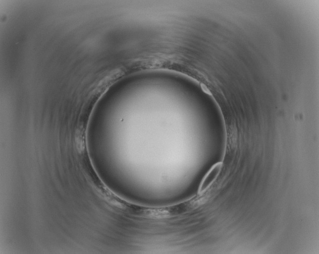 X0000076420719200610202220