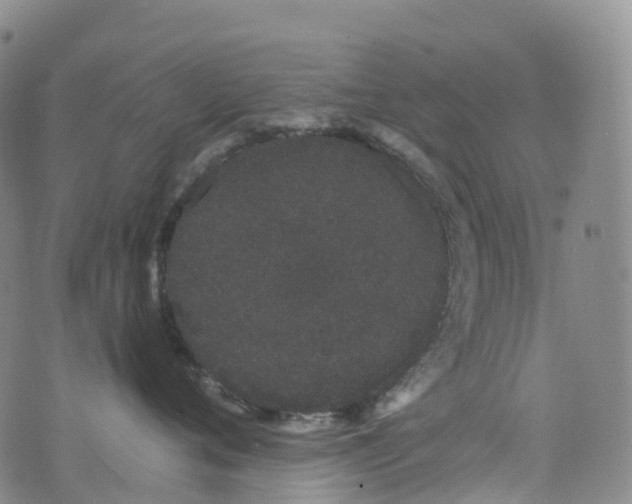 X0000076420720200610202220