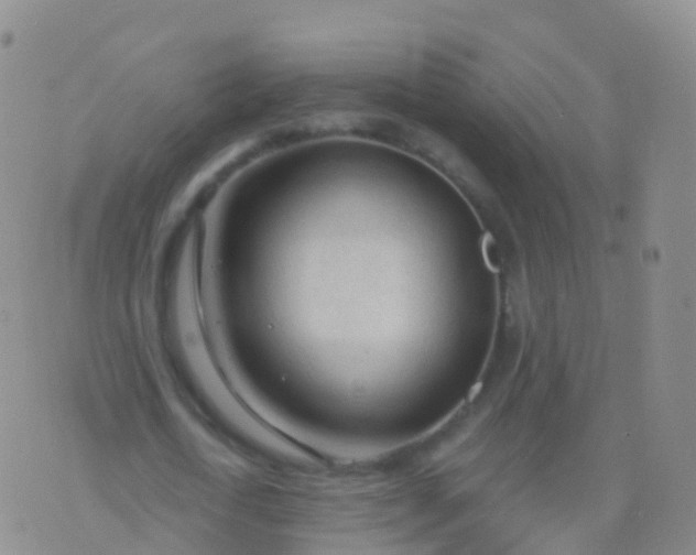 X0000076420722200610202219