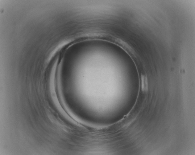 X0000076420723200610202219