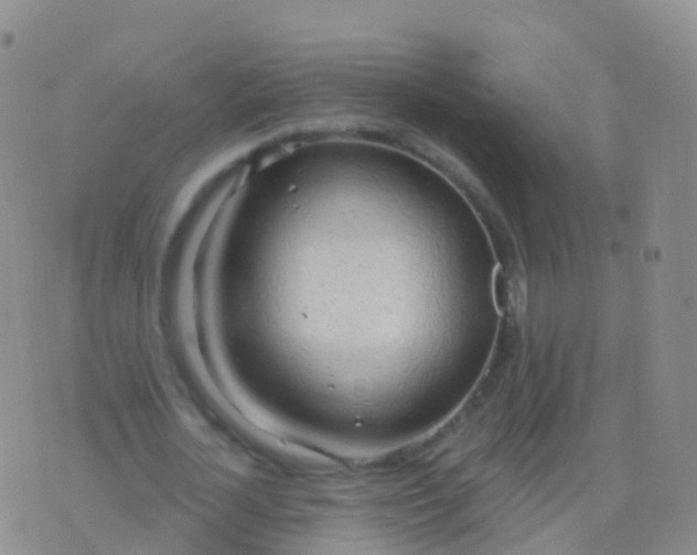 X0000076420724200610202219