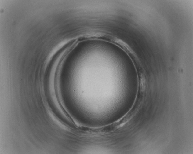 X0000076420726200610202219