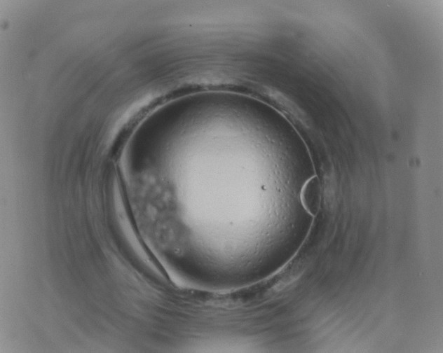 X0000076420727200610202219