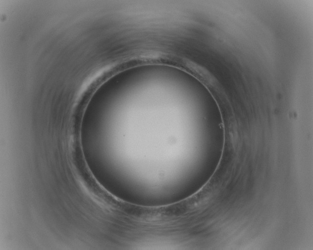 X0000076420728200610202219