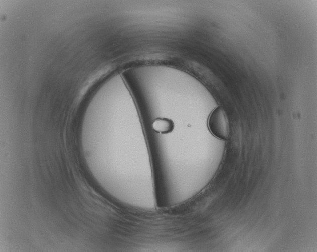 X0000076420731200610202219