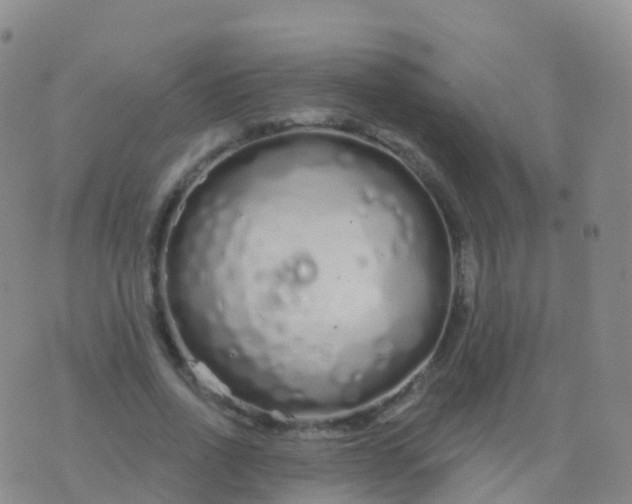 X0000076420734200610202219