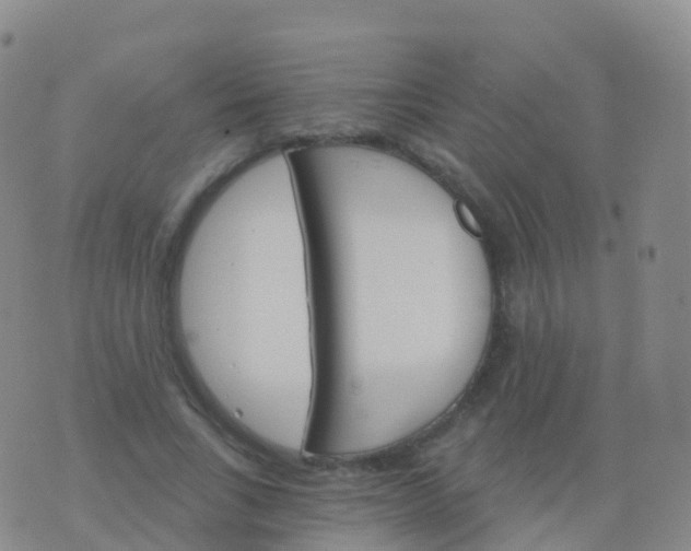 X0000076420735200610202219