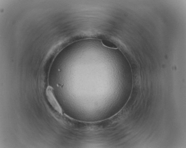 X0000076420736200610202219