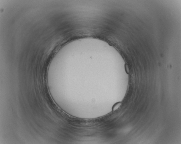 X0000076420739200610202219