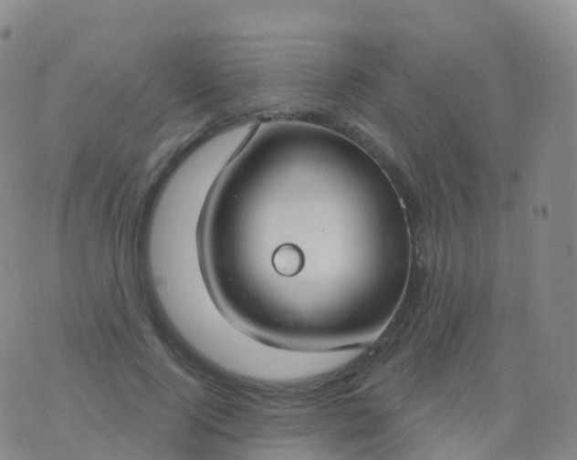 X0000076420740200610202219