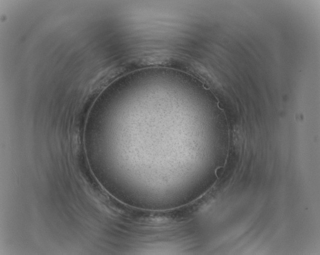 X0000076420741200610202219