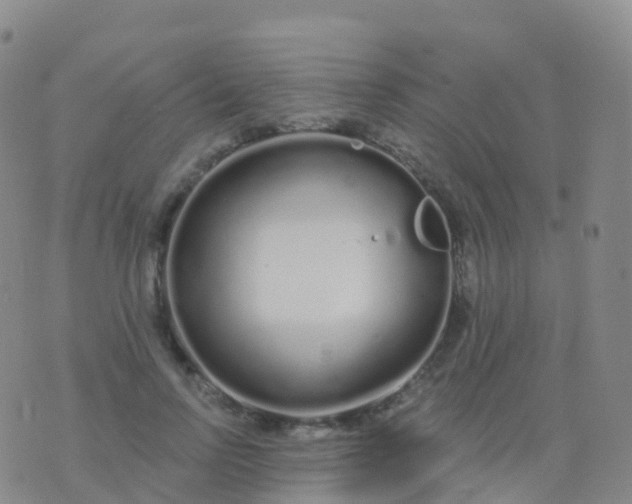 X0000076420742200610202219